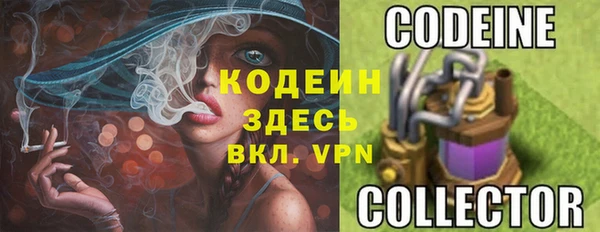 ПСИЛОЦИБИНОВЫЕ ГРИБЫ Абаза