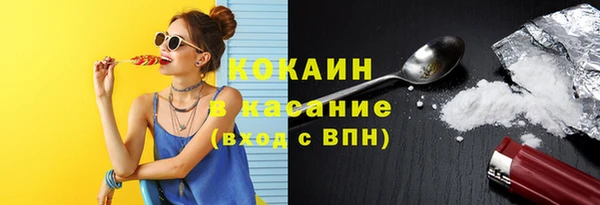 ПСИЛОЦИБИНОВЫЕ ГРИБЫ Абаза