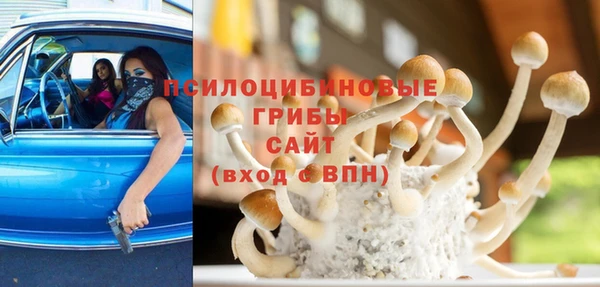 ПСИЛОЦИБИНОВЫЕ ГРИБЫ Абаза