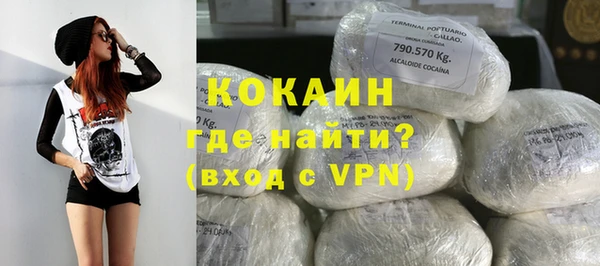 ПСИЛОЦИБИНОВЫЕ ГРИБЫ Абаза